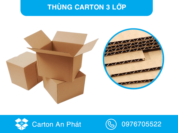 thung-carton-3_73 (1)_84.png